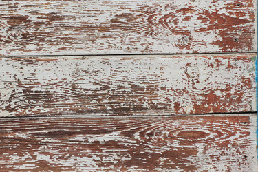 Similar image 2362845