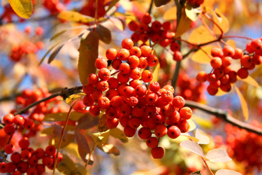 Similar image 2362942