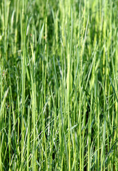 Similar image 2362947