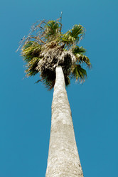 Similar image 2362950