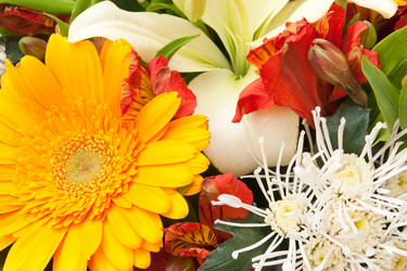 Similar image 2362952