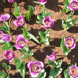 Similar image 2362953