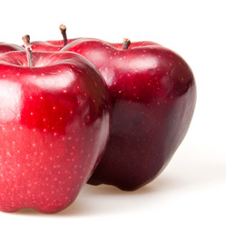 Similar image 2362954