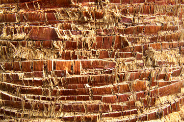 Similar image 2362961