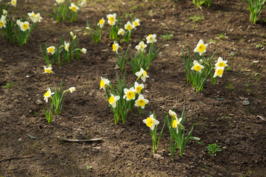 Similar image 2362992