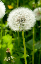 Similar image 2362993