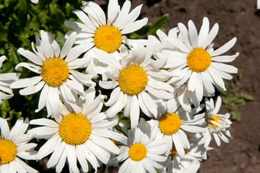 Similar image 2362996