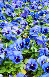 Similar image 2363001