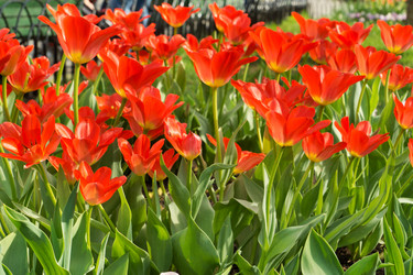 Similar image 2363003