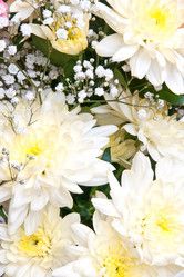 Similar image 2363009