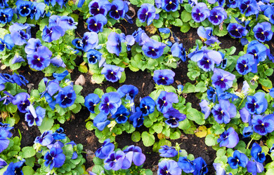 Similar image 2363010