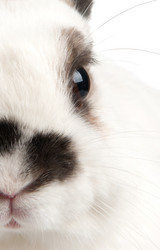 Similar image 2363012