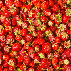 Similar image 2363013