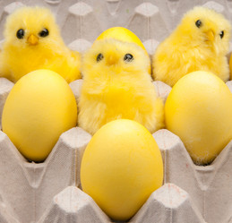 Similar image 2363014