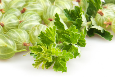 Similar image 2363018