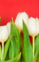 Similar image 2363020