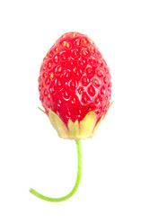 Similar image 2363023