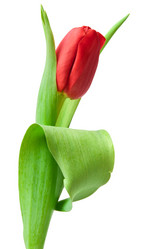 Similar image 2363026