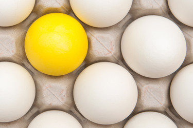 Similar image 2363027