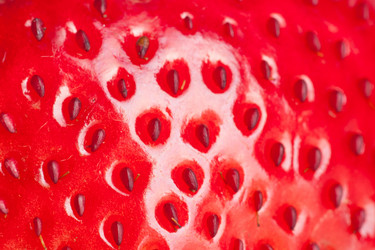 Similar image 2363031