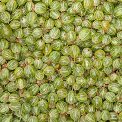 Similar image 2363034