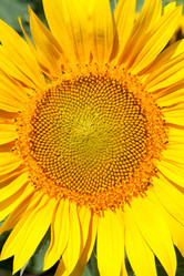 Similar image 2363039