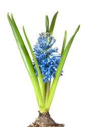 Similar image 2363040