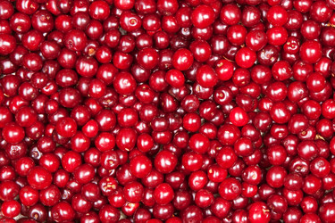 Similar image 2363041