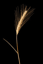 Similar image 2363043