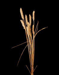 Similar image 2363047