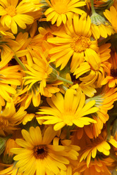 Similar image 2363051