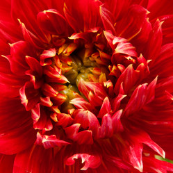 Similar image 2363118