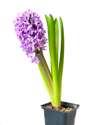 Similar image 2363120