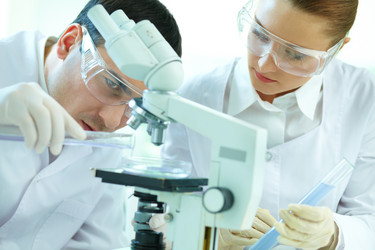 Similar image 2363138