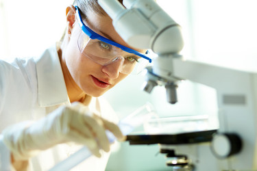 Similar image 2363155