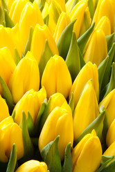 Similar image 2363156