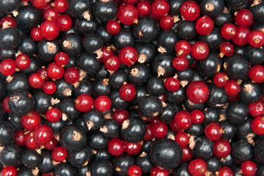 Similar image 2363160