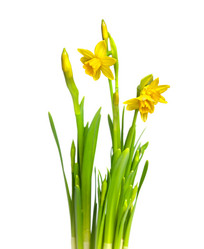 Similar image 2363161