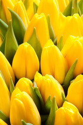 Similar image 2363162