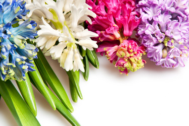 Similar image 2363164