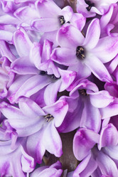 Similar image 2363166