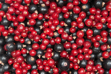 Similar image 2363172