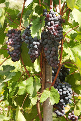 Similar image 2363175