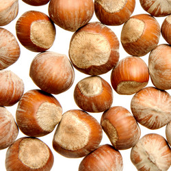 Similar image 2363181