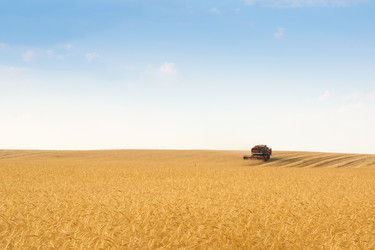 Similar image 2363183