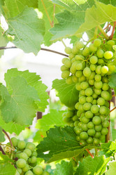 Similar image 2363186