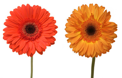 Similar image 2363200