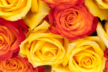 Similar image 2363202