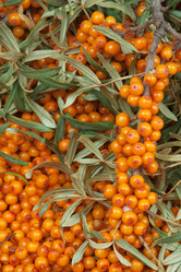 Similar image 2363206