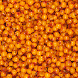 Similar image 2363208